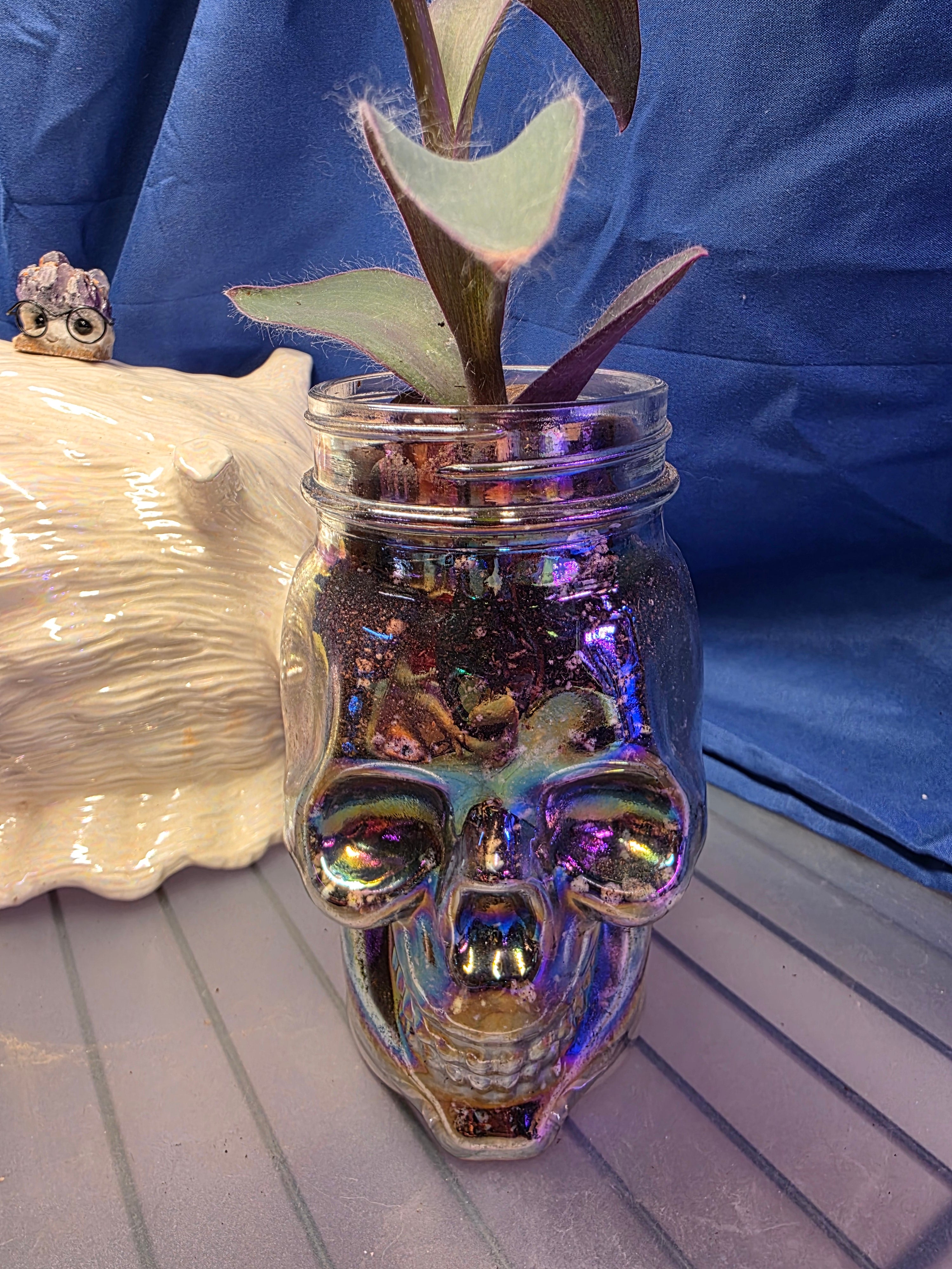 Transcendia purple heart