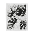Monstera plant life