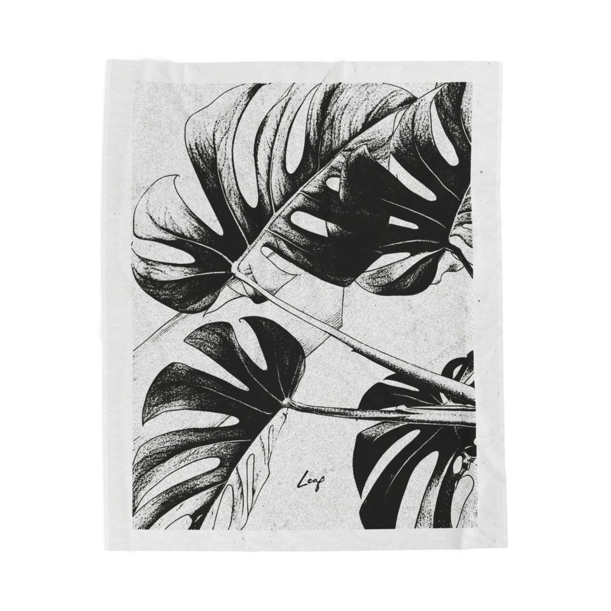 Monstera plant life